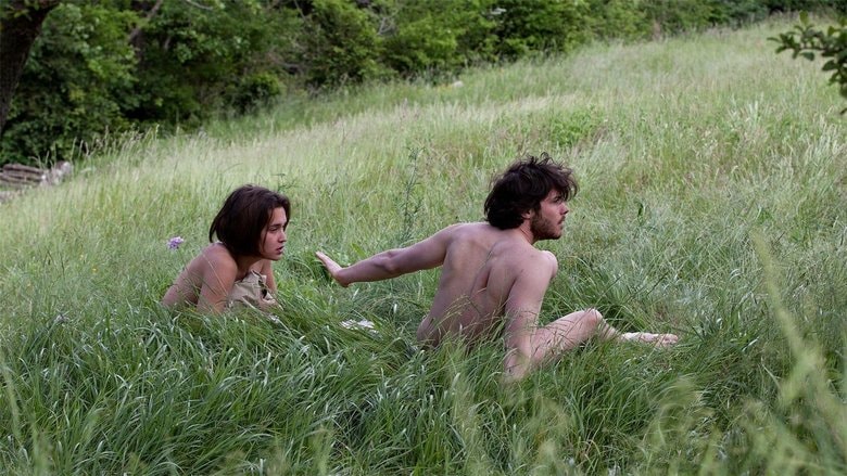 Metamorphoses background